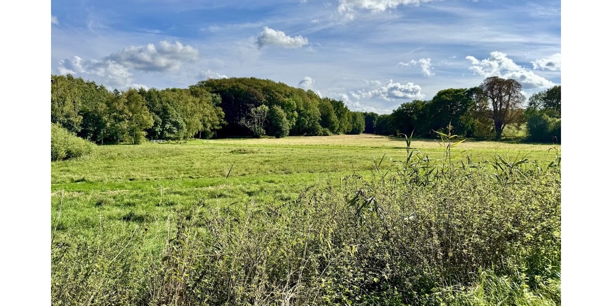 HORN IMMOBILIEN Denkmalgeschütztes Wohnhaus mit historischem Pferdestall, Breesen bei Neubrandenburg - Einfamilienhaus Breesen / Schwandt Schwandt | Angebot:27512083