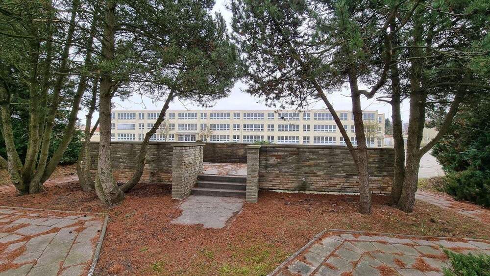 Gewerbeobjekt Stavenhagen OT Basepohl Basepohl - 99.000&euro; | Angebot:25804597