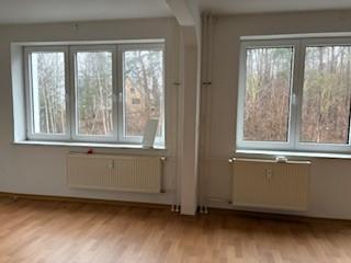 Etagenwohnung Neubrandenburg Datzeberg - 1 Zimmer, 30 m&sup2;, 212&euro; | Angebot:25443540