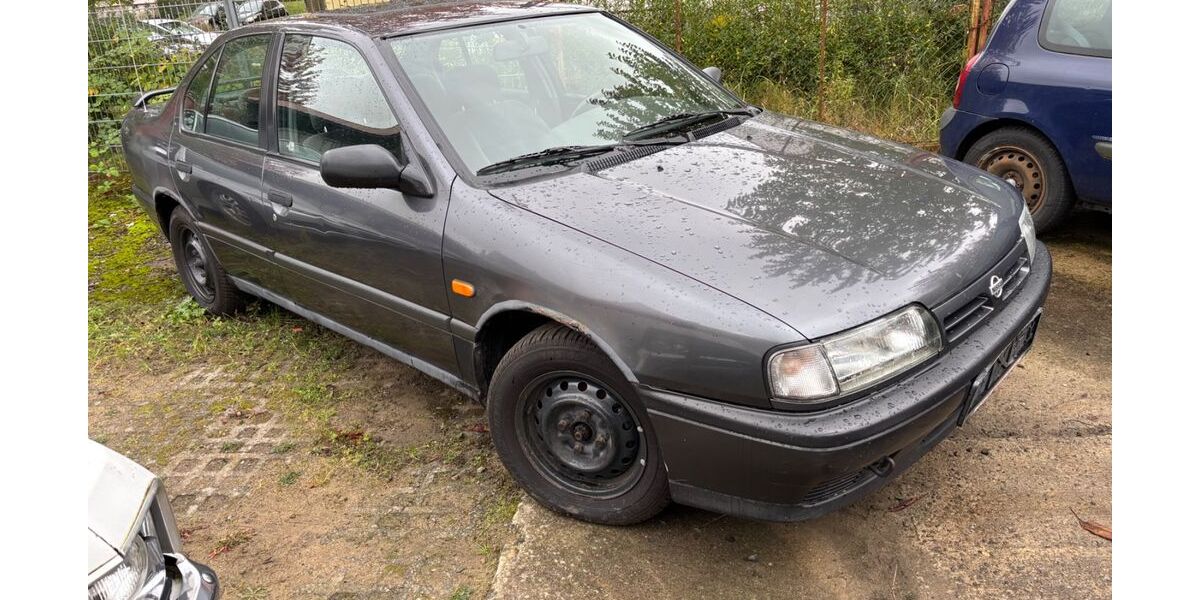 Nissan Primera 180.000 km 999 &euro; Woldegk an der A20 17348