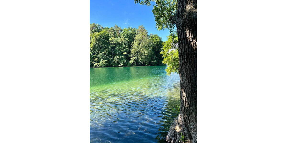 Doppelhaushälfte Feldberger Seenlandschaft Feldberg - 4 Zimmer, 9 m&sup2;, 349.000&euro; | Angebot:25716276