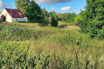 Grundstück Woldegk Canzow - 37.225&euro; | Angebot:22632060