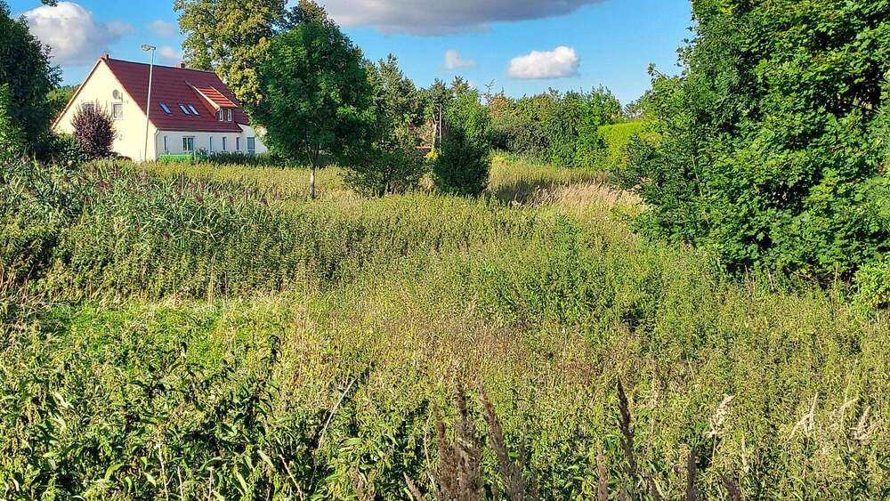 Grundstück Woldegk Canzow - 37.225&euro; | Angebot:22632060