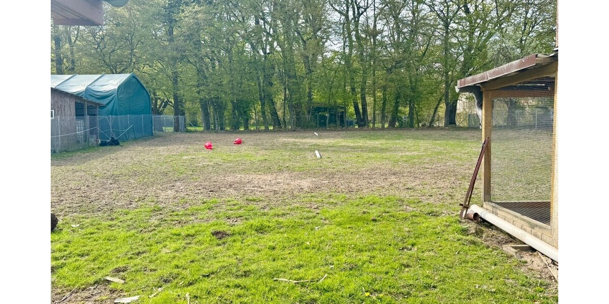 HORN IMMOBILIEN ++ Haus mit Doppelgarage und Nebengebäude in Wodarg bei Altentreptow, ruhige Lage - Einfamilienhaus Werder OT Wodarg Wodarg | Angebot:26875433