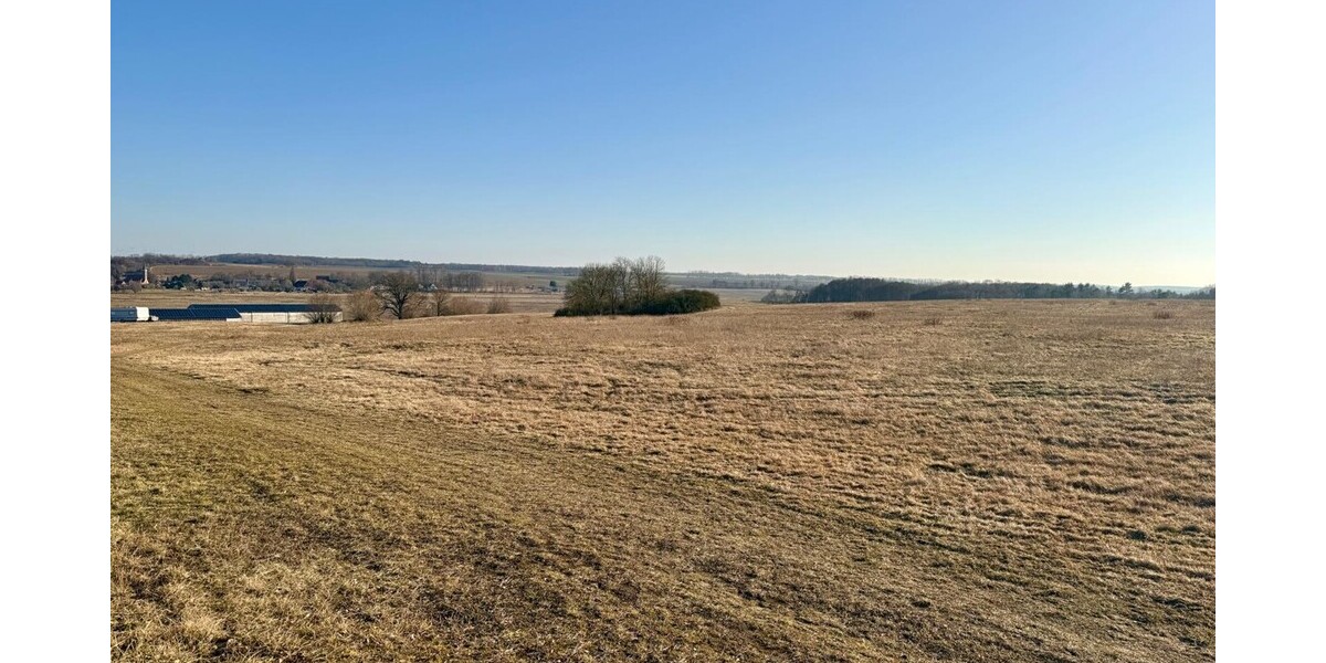 HORN IMMOBILIEN++ 15 km bis Neubrandenburg, schöne Doppelhaushälfte mit großen Grundstück & 2 Garagen - Doppelhaushälfte Bassow Bassow | Angebot:26085785