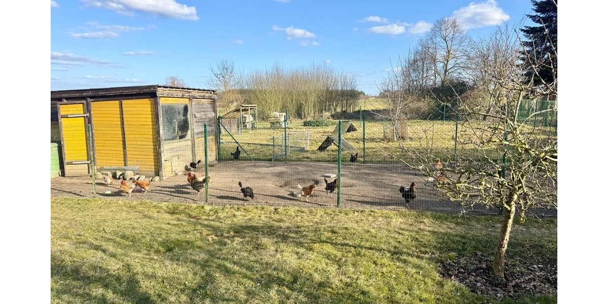 HORN IMMONILIEN ++ großes Haus, großes Grundstück in einer ruhigen Lage in Cölpin bei Neubrandenburg - Einfamilienhaus Cölpin | Angebot:25263306