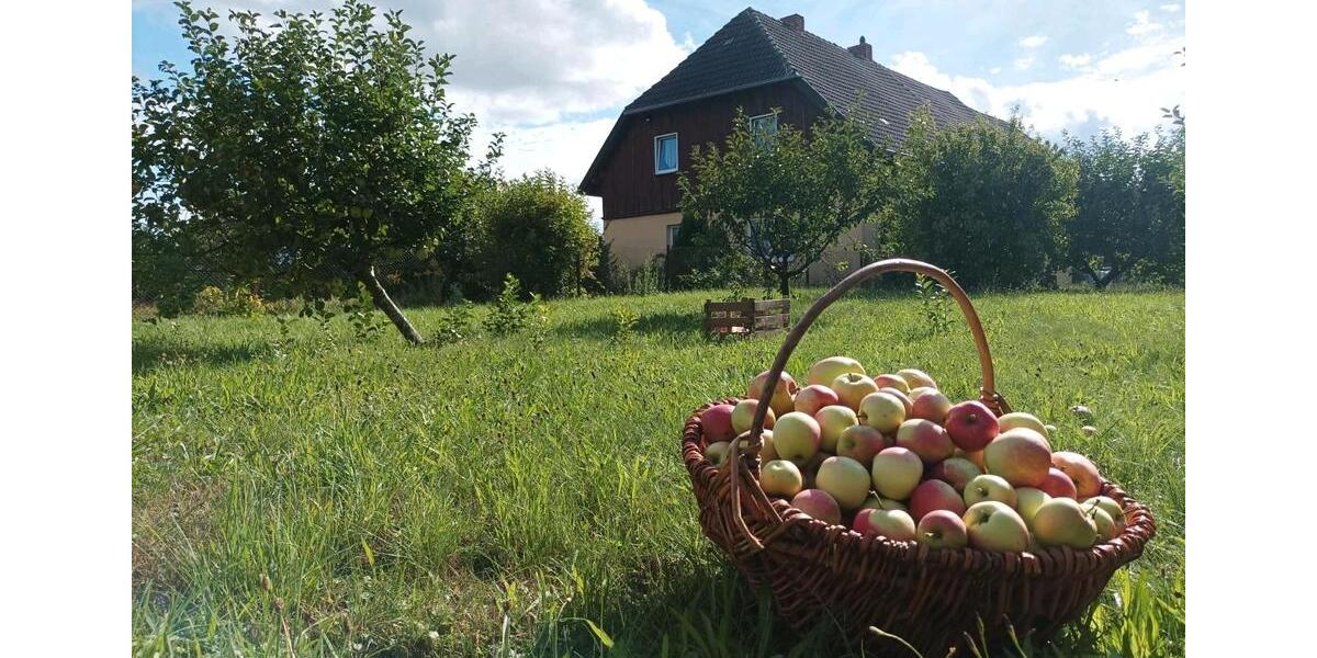 Einfamilienhaus Penzlin - 6 Zimmer, 159 m&sup2;, 249.000&euro; | Angebot:27113877