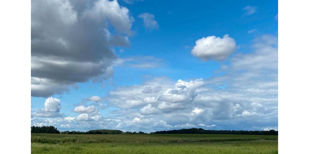 Einfamilienhaus Stavenhagen - 6 Zimmer, 206 m&sup2;, 380.000&euro; | Angebot:26148619