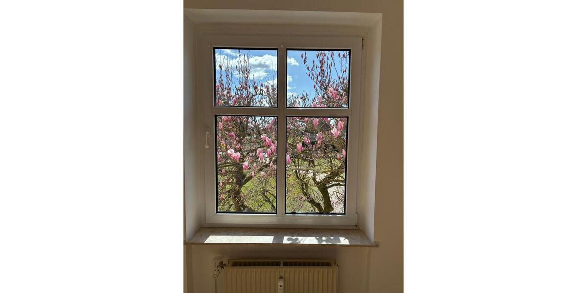 Mehrfamilienhaus, Wohnhaus Friedland - 391.000&euro; | Angebot:26143965