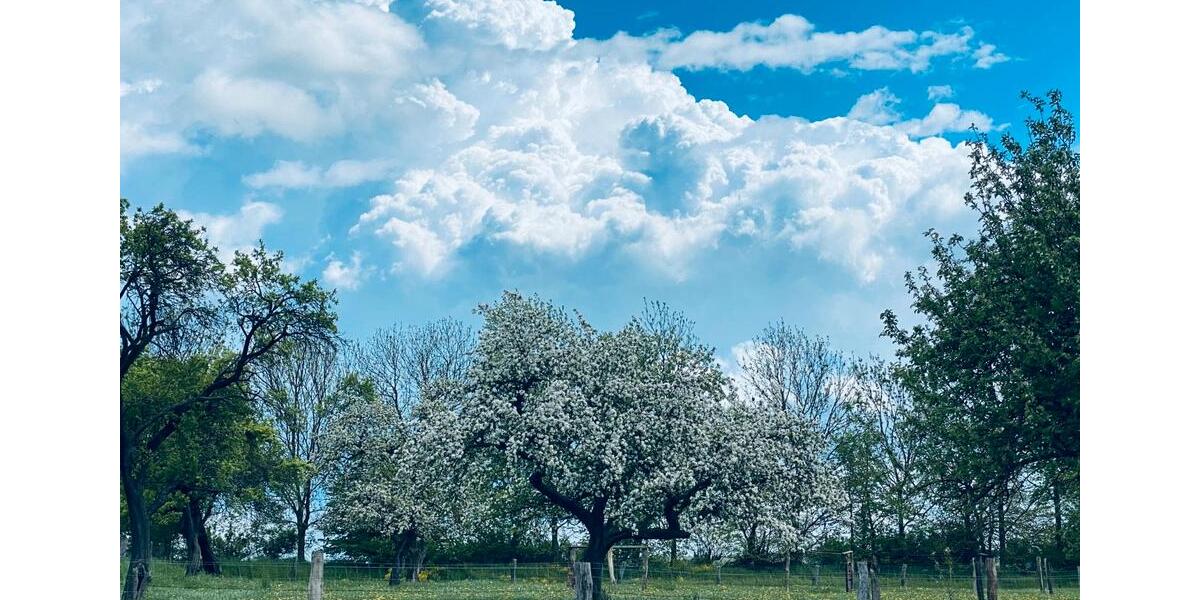 Einfamilienhaus Stavenhagen - 6 Zimmer, 206 m&sup2;, 380.000&euro; | Angebot:26148619