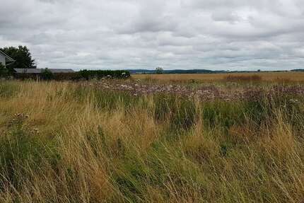 Grundstück Golm Golm - 58.000&euro; | Angebot:25876713