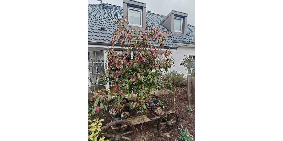 Einfamilienhaus Blankensee OT Wanzka Wanzka - 5 Zimmer, 176 m&sup2;, 360.000&euro; | Angebot:25824889