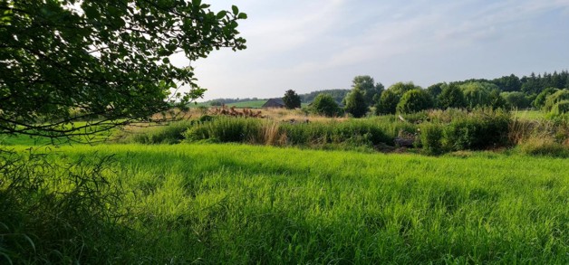 Ganz nah am Tollensesee - Grundstück Penzlin | Angebot:19800428