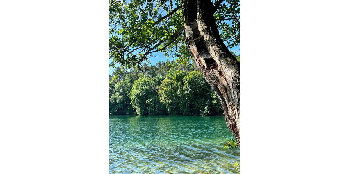 Doppelhaushälfte Feldberger Seenlandschaft Feldberg - 4 Zimmer, 9 m&sup2;, 349.000&euro; | Angebot:25716276