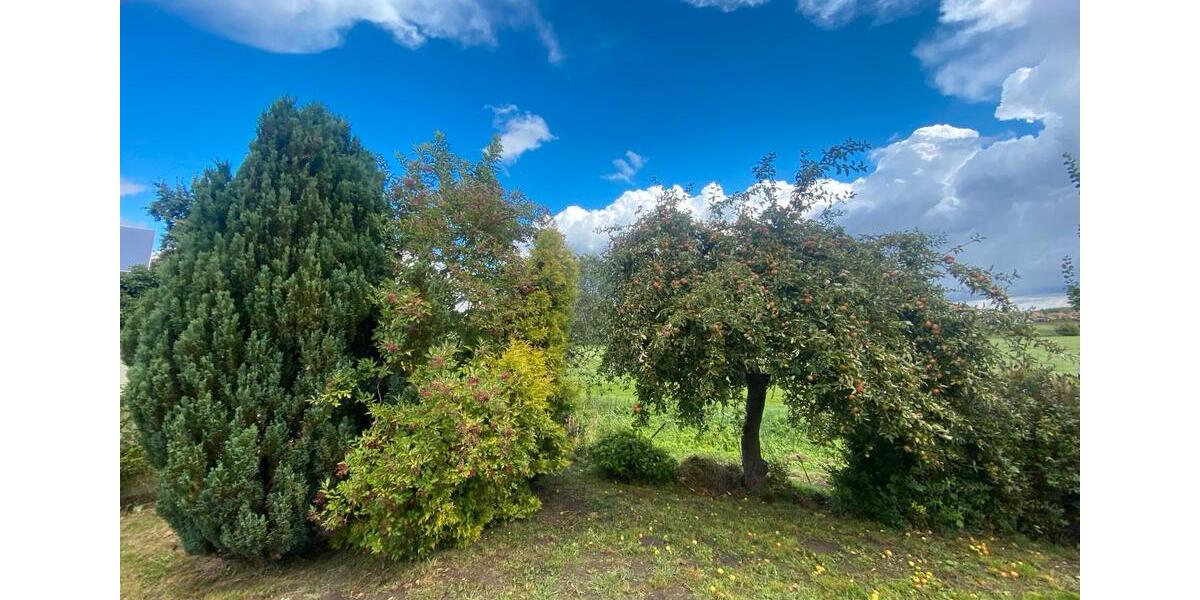 Einfamilienhaus Stavenhagen - 3 Zimmer, 112 m&sup2;, 139.000&euro; | Angebot:25988201