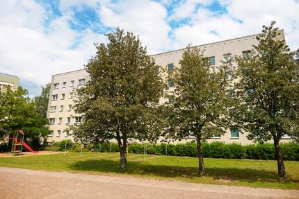 Wohnung Neubrandenburg Carlshöhe - 3 Zimmer, 63 m&sup2;, 322&euro; | Angebot:26676789