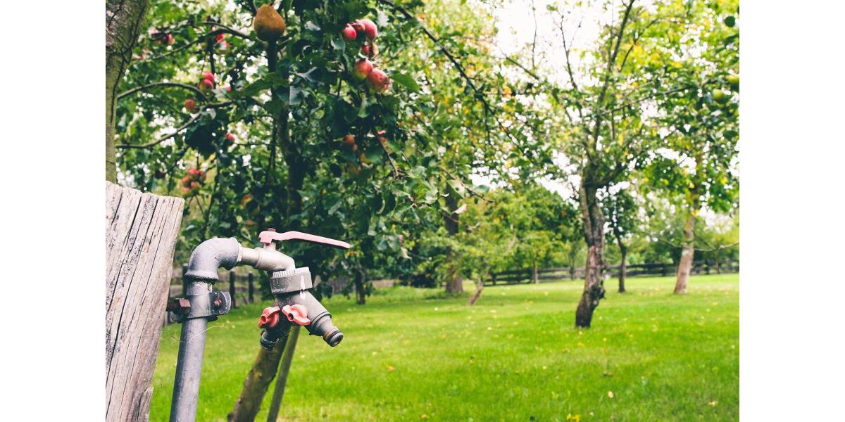 Provisionsfrei* Blockbohlenhaus mit Solaranlage & großem Grundstück - Wohnen im Naturparadies von Rühlow (Sponholz) - Einfamilienhaus Rühlow Rühlow | Angebot:26256230