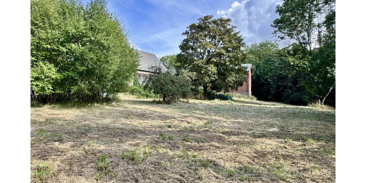 HORN IMMOBILIEN Denkmalgeschütztes Wohnhaus mit historischem Pferdestall, Breesen bei Neubrandenburg - Einfamilienhaus Breesen / Schwandt Schwandt | Angebot:27512083