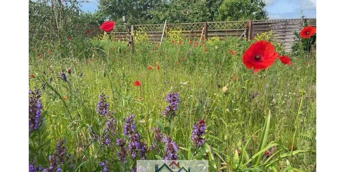 Einfamilienhaus Hohenmocker Hohenbrünzow - 4 Zimmer, 130 m&sup2;, 109.000&euro; | Angebot:25670302