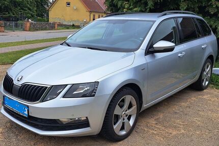 Skoda Octavia 220.850 km 8.000 &euro; Burow 17089