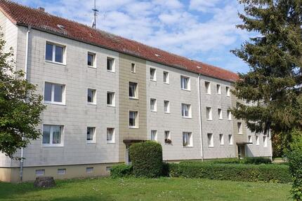 Wohnung Blankensee - 3 Zimmer, 62 m&sup2;, 305&euro; | Angebot:9691036